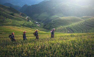 Luxury Indochina Golf Tour
