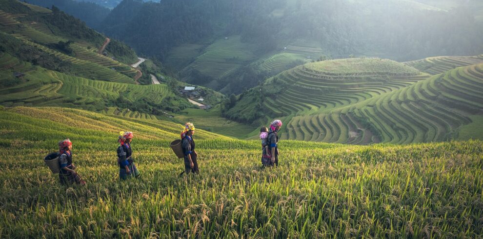 Luxury Indochina Golf Tour